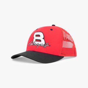 Dale Earnhardt Jr. Number 8 Snapback Hat in Red